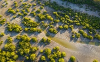 AUS - Great Sandy Strait d0176